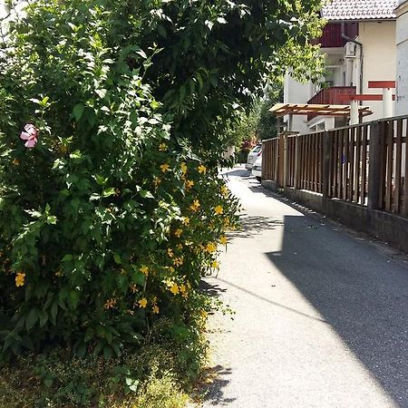 Sunflower Accommodation Lublana Zewnętrze zdjęcie