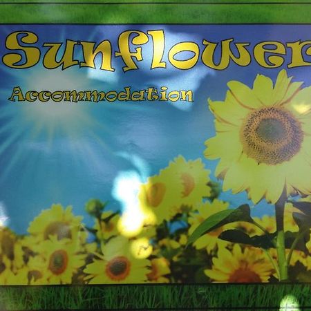 Sunflower Accommodation Lublana Zewnętrze zdjęcie
