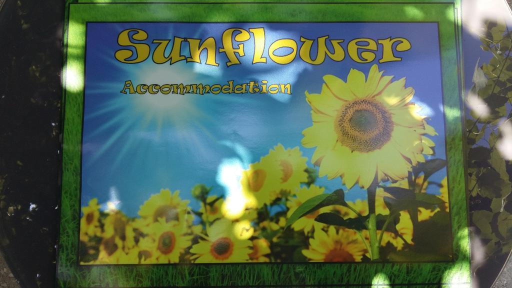 Sunflower Accommodation Lublana Zewnętrze zdjęcie
